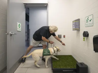 Service dog using pet relief station at YKF