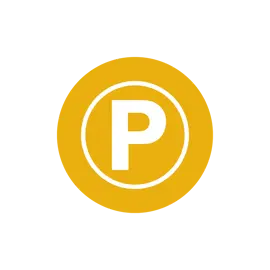 Parking Icon